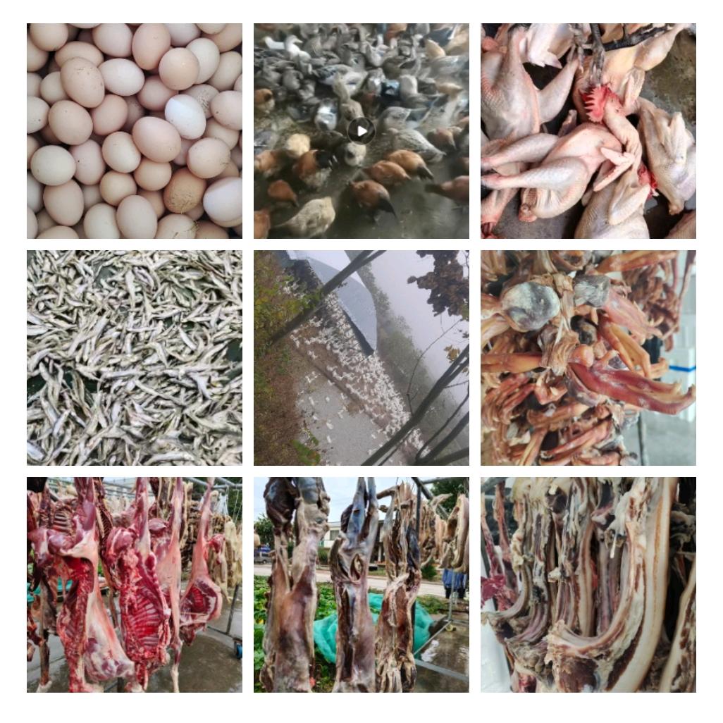 皖N☞鲁