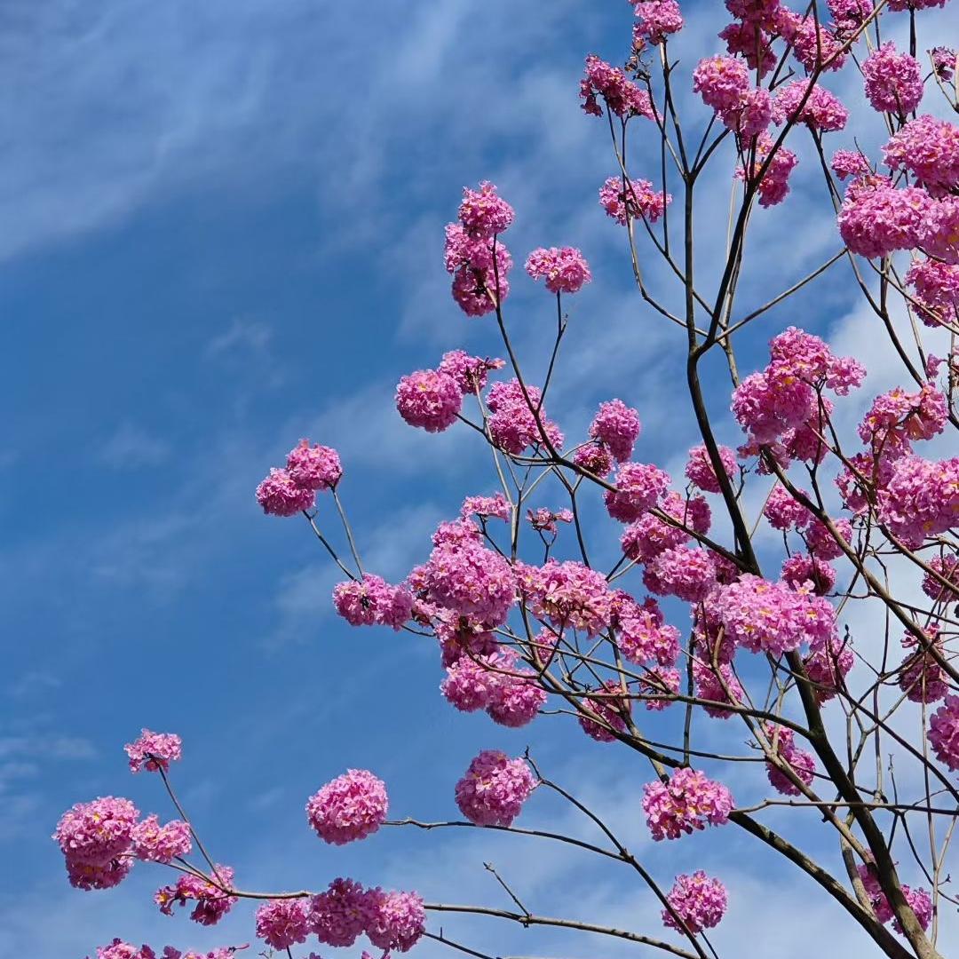 🍒同甘共苦꧔ꦿ໌້ᮨ࿐ᩚᩚᩚ