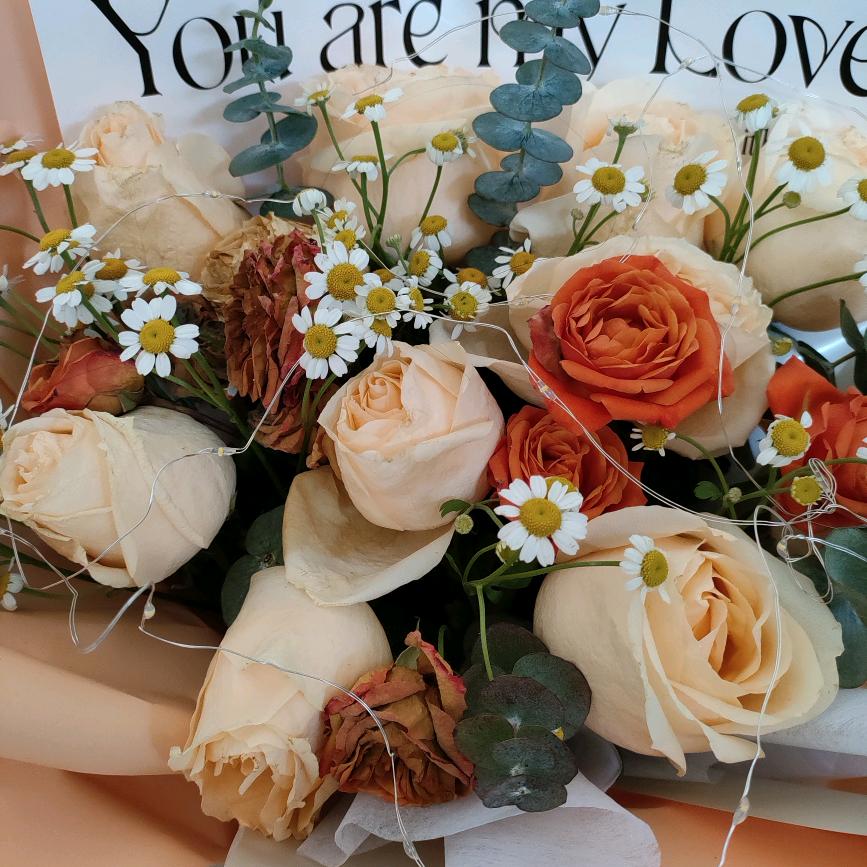 🎉🎉春暖花🌺开🌹🌹