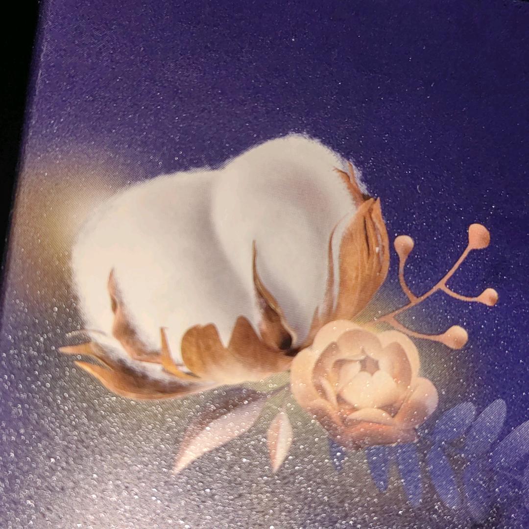 小白丫