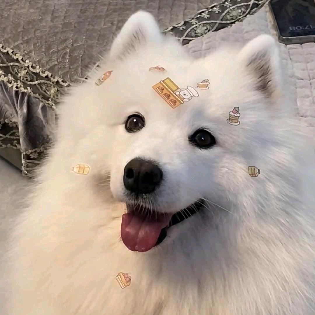•̩̩̩̩ᯅ•̩̩̩̩
