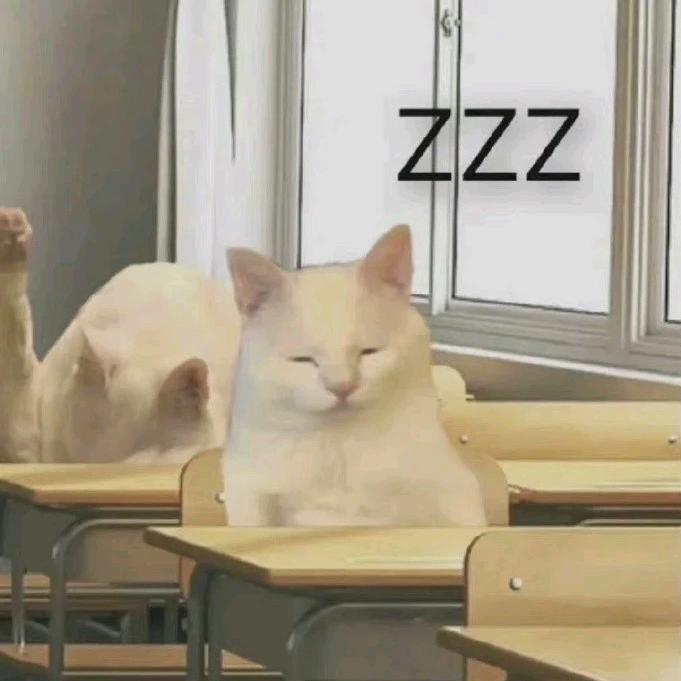 Zzz.💤