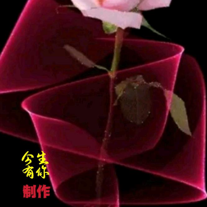 今生有你