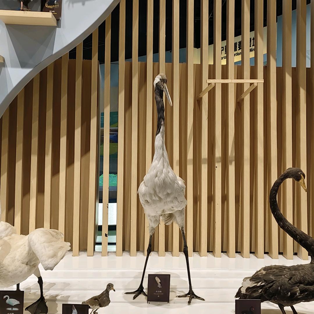 粪发涂墙还要卷屎