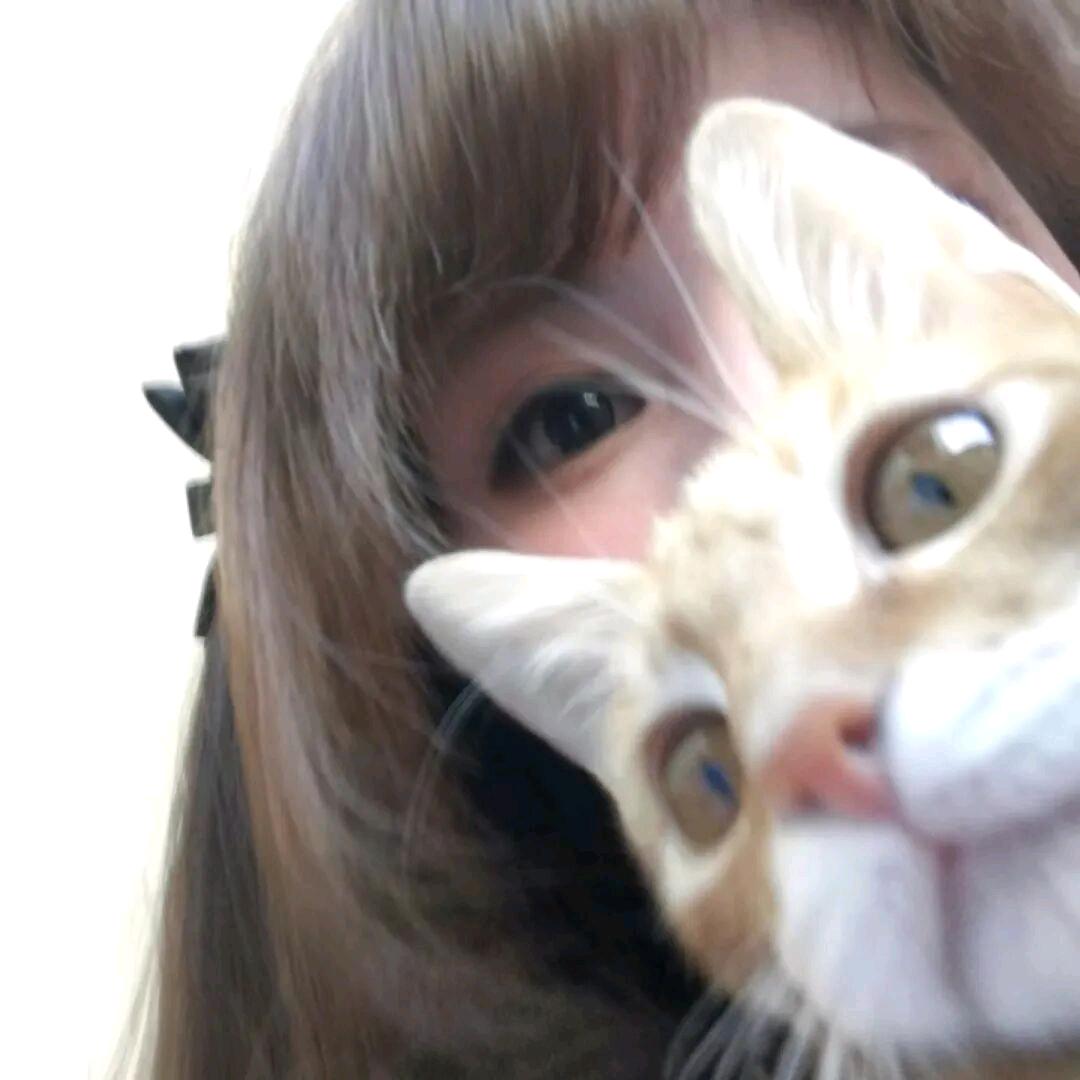 喵喵^ ^