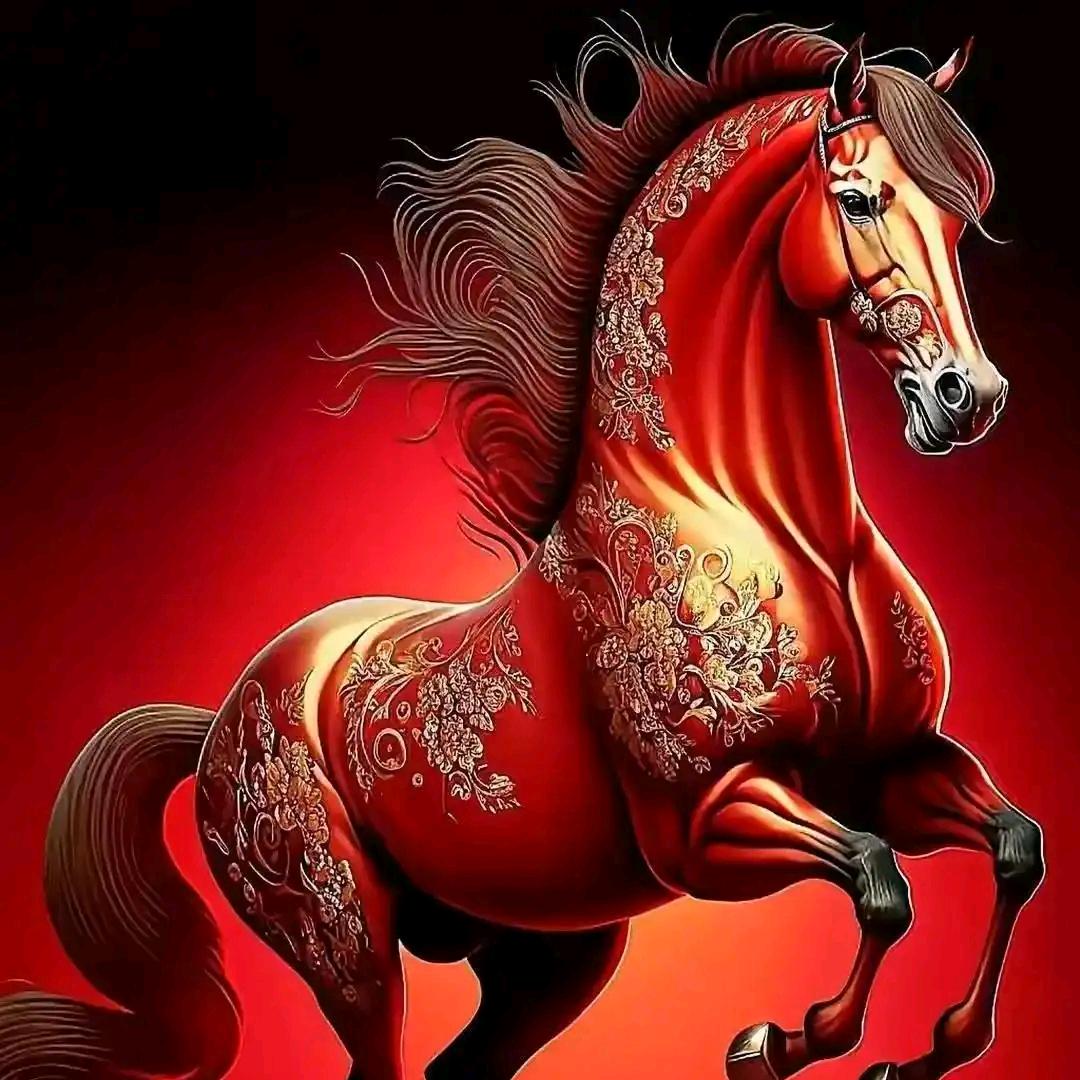 洁诚净家有害生物防治店