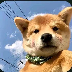 笑一个吧