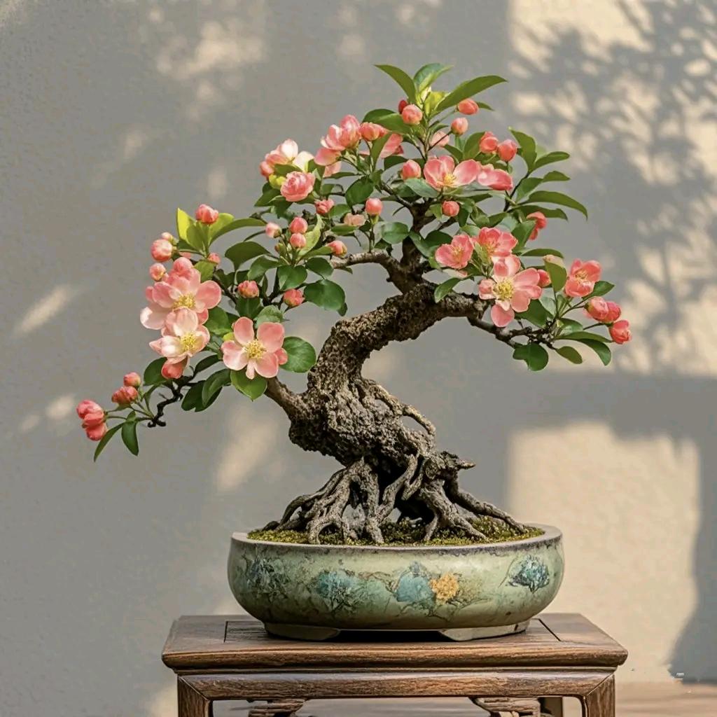 花之语园艺花卉场