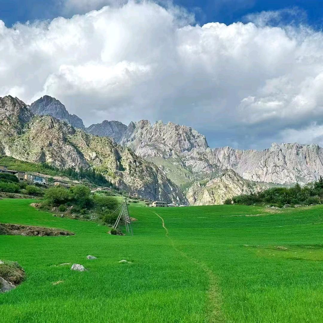 没头脑与不高兴