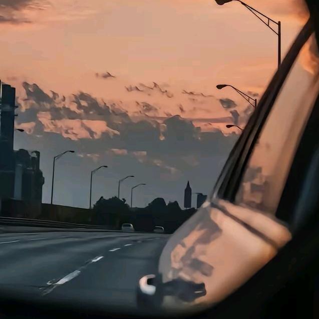 网不红的朗逸🅿