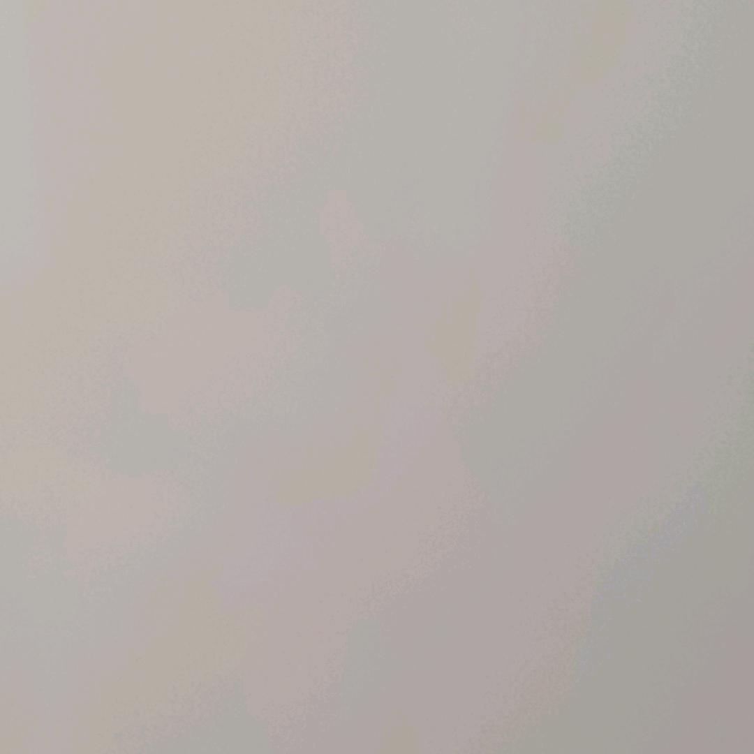 #雪域雄鹰#
