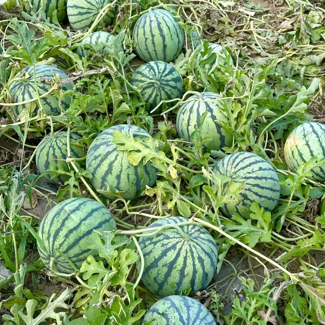 福联升