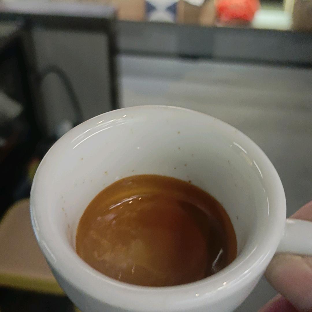 风华正茂