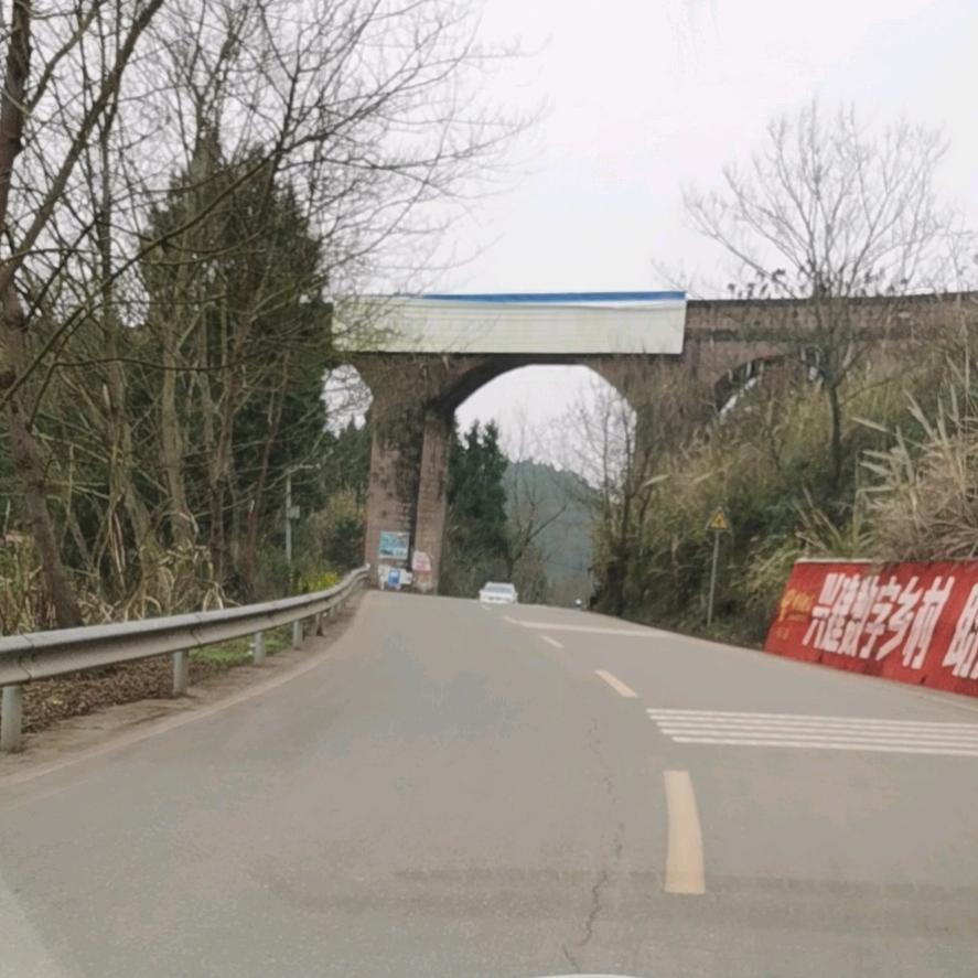 玥光下的影子