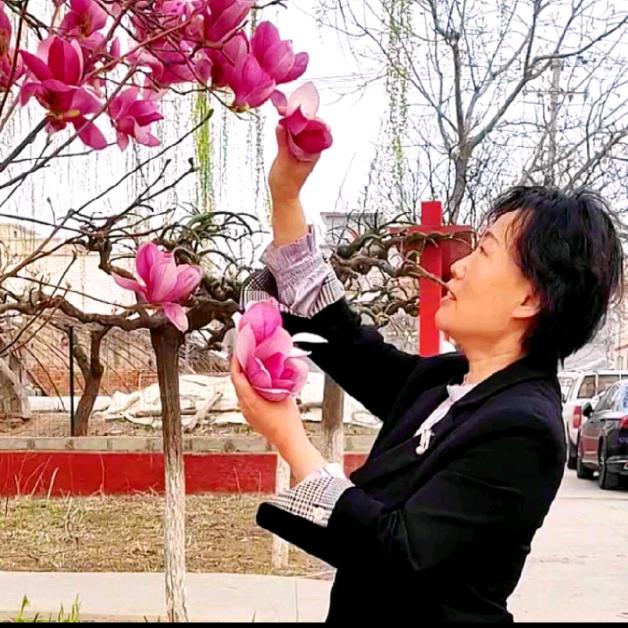 🪷花点时间