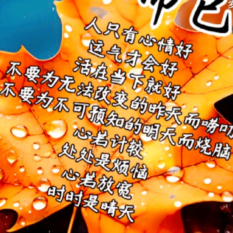 以后的以后╭(╯ε╰)╮