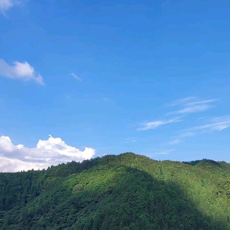 海海人生i