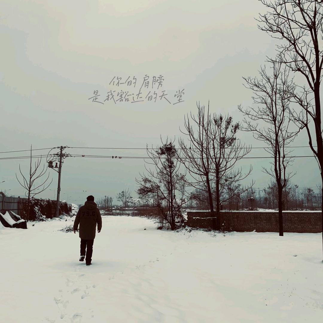 爱画画的张老师