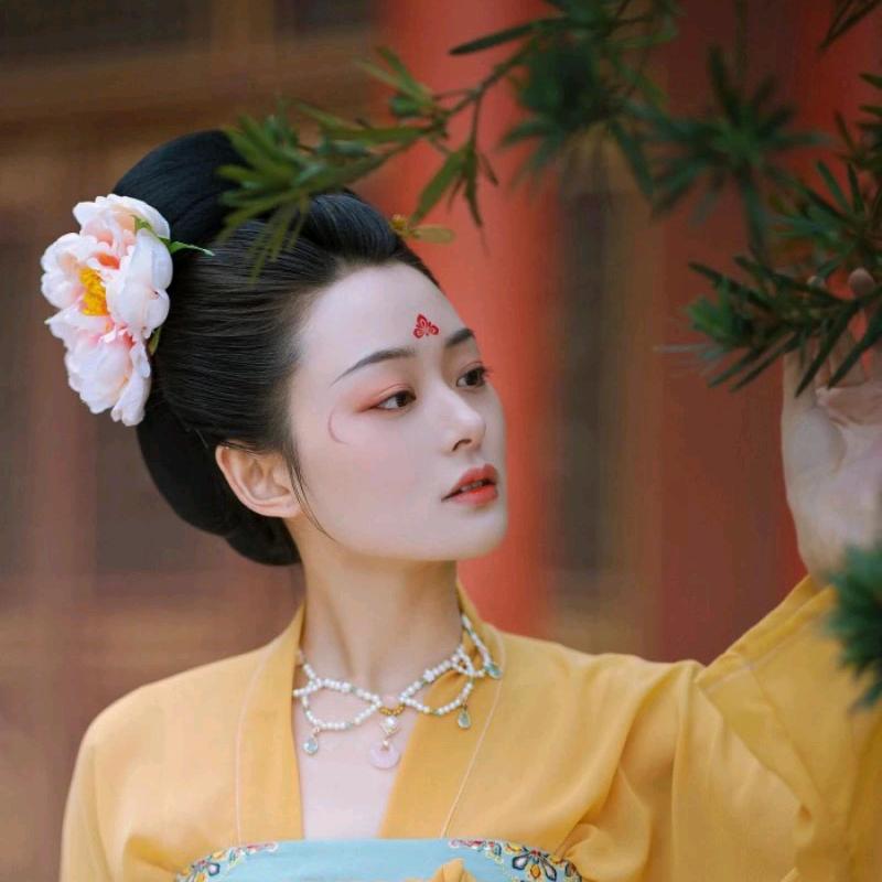 安安爱分享