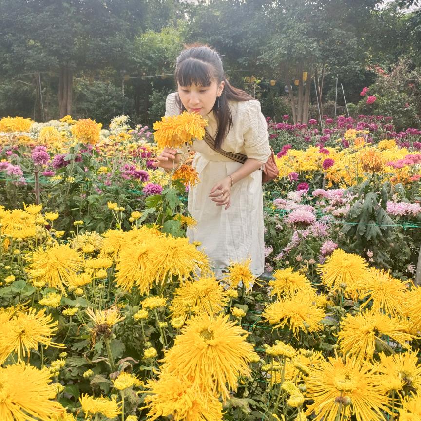 丰都⊙∀⊙！半支花