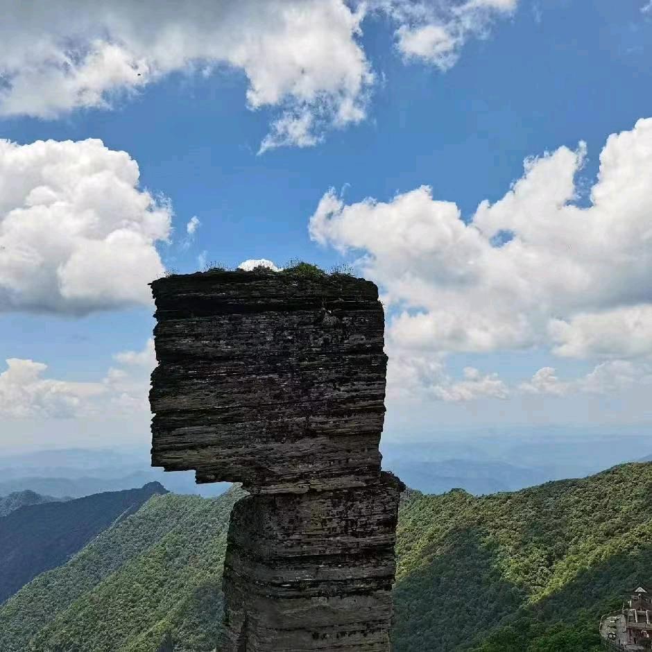 丽军
