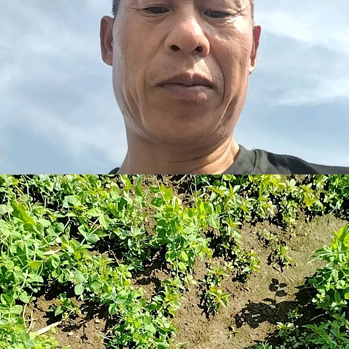 只沉溺在你的未来