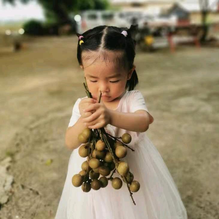 可旺