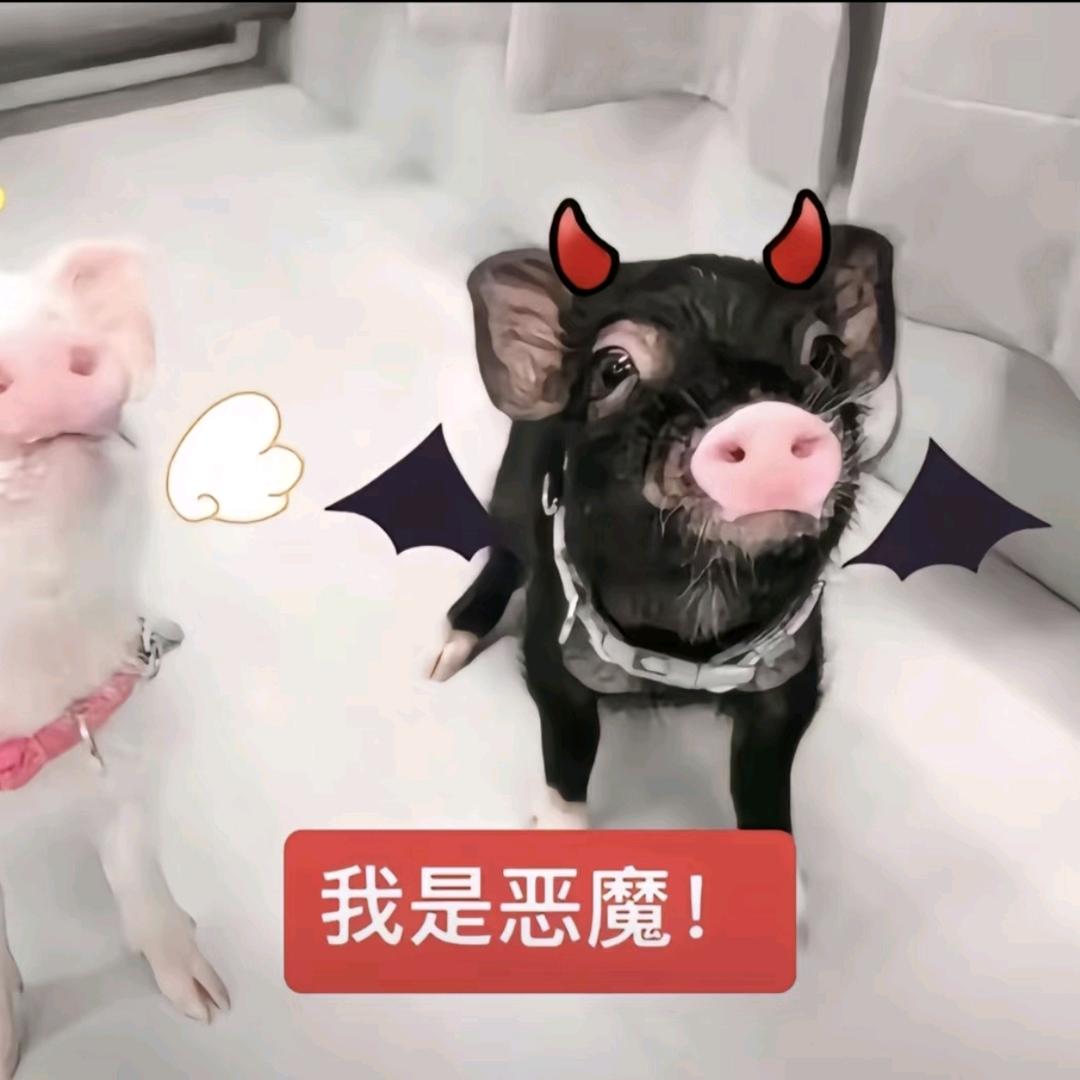 苏丹Ⅲ