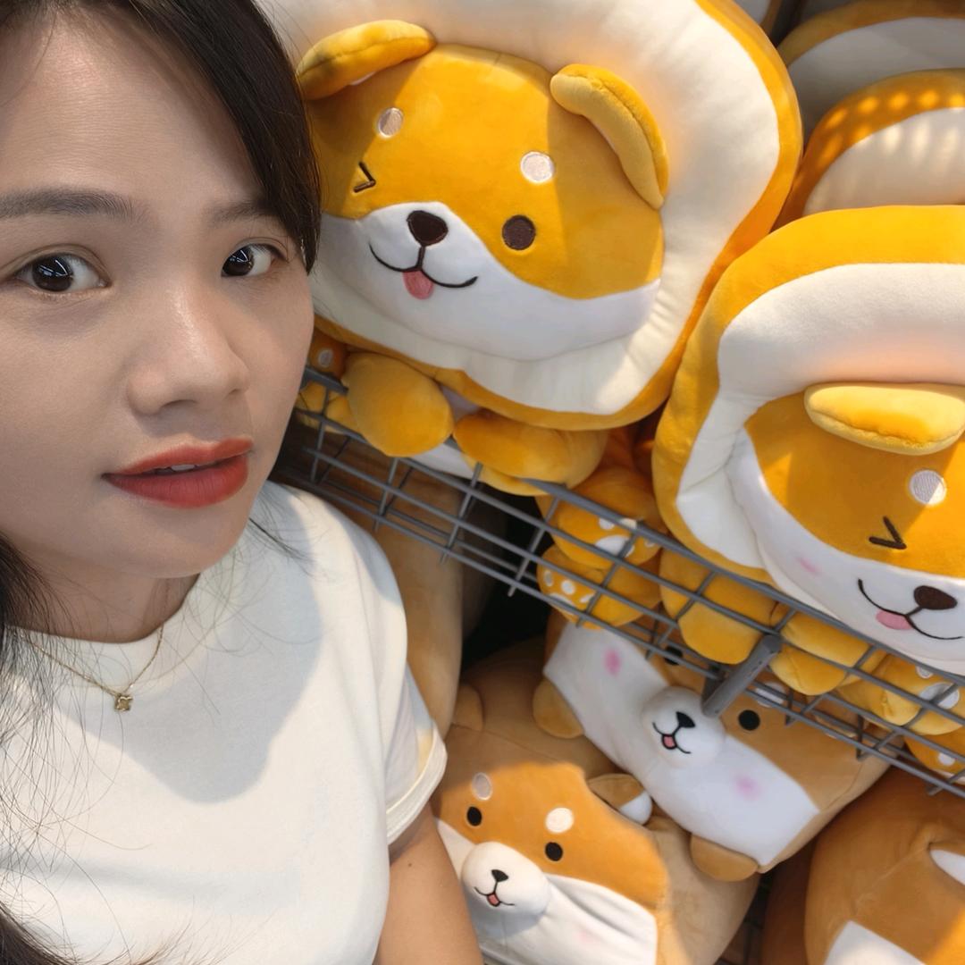 @小小枫