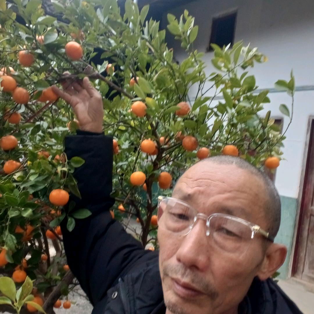 蔡法亮