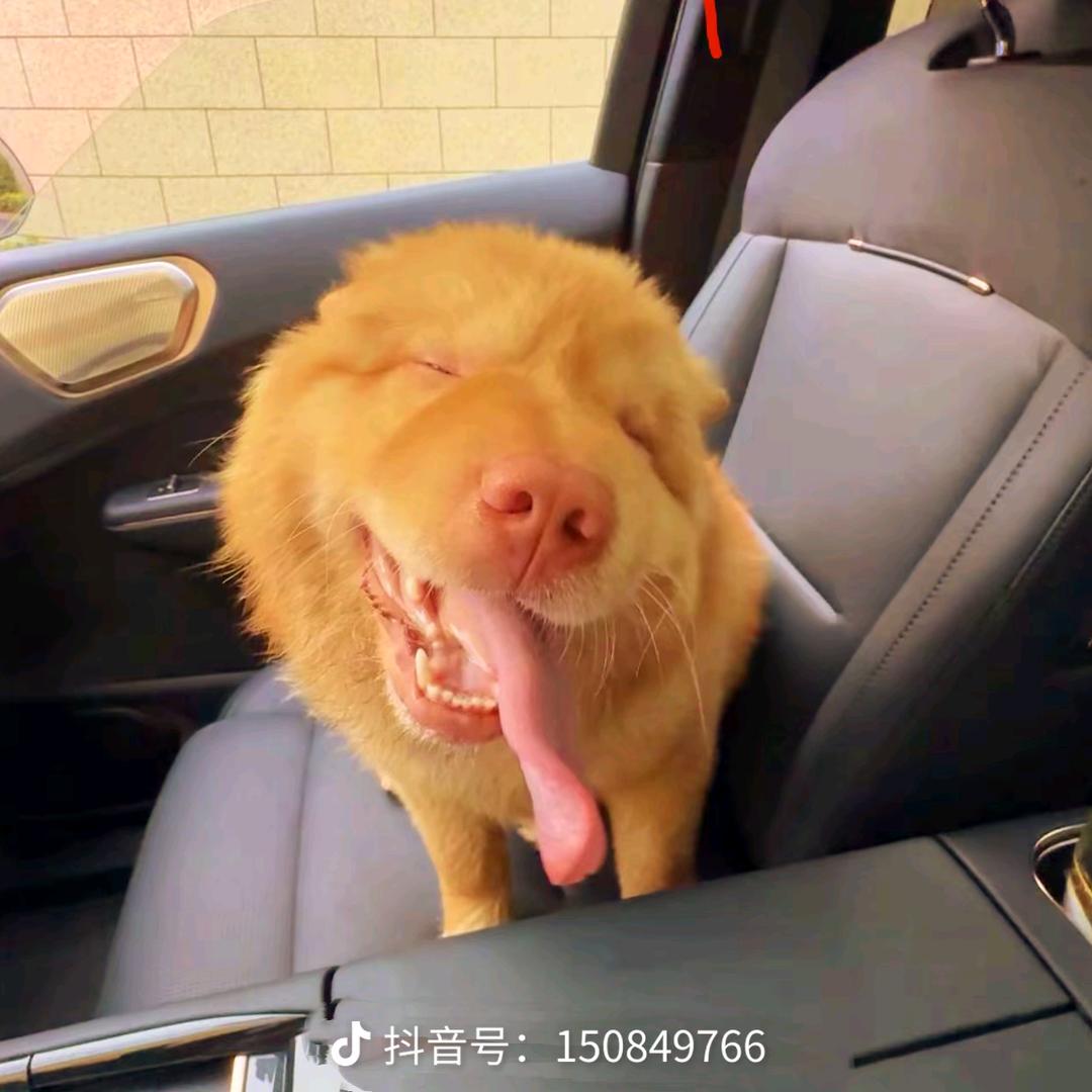 文～武……斌￥