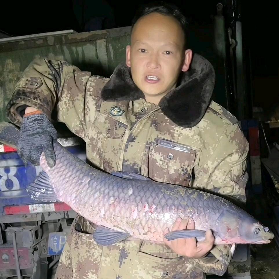 杨村河河垂钓