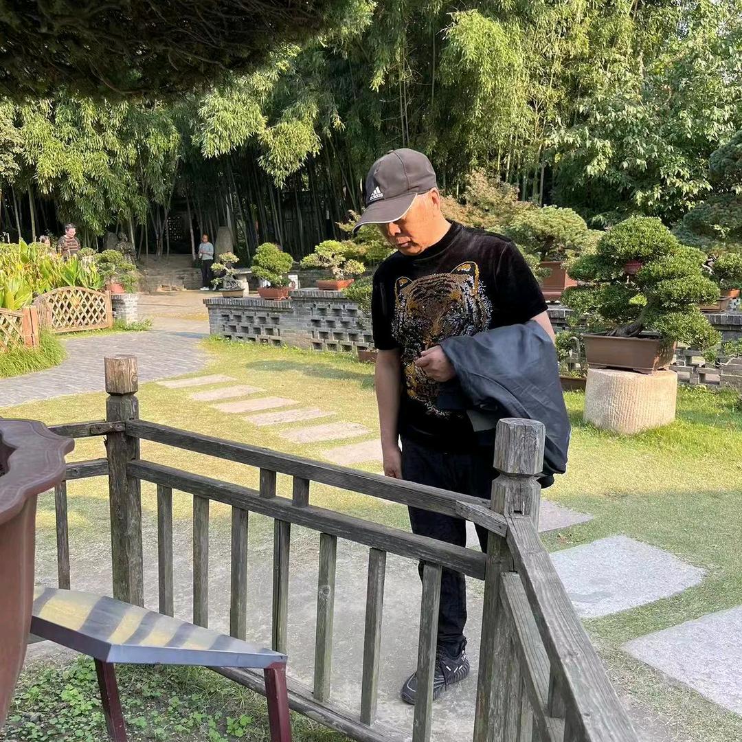 倔强的羊