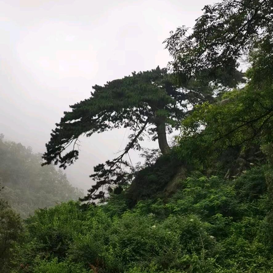金源超市