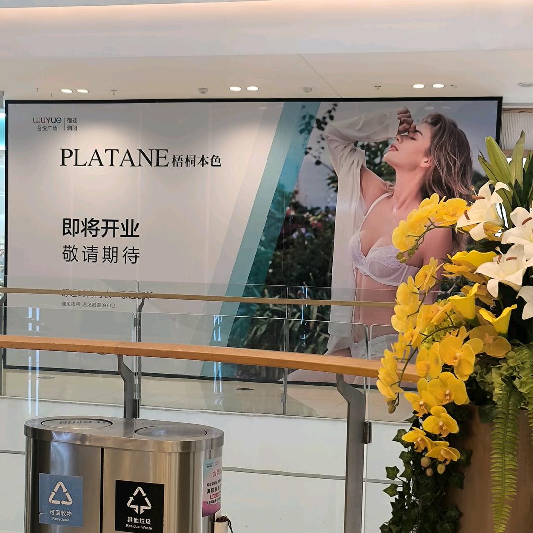 梧桐本色泗阳吾悦广场店