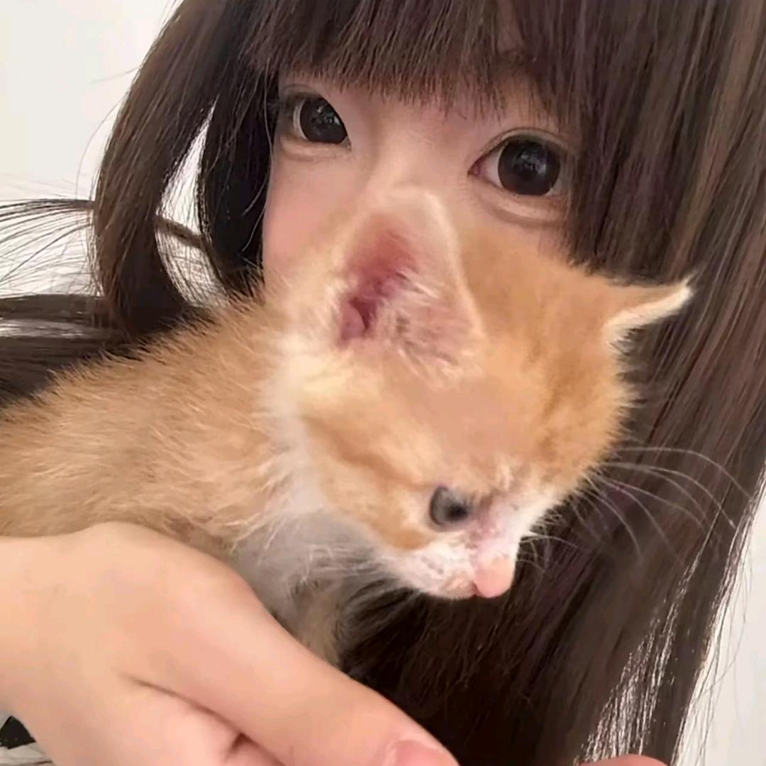 海苔大王^