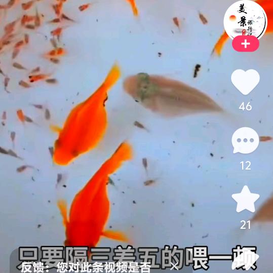 月明月