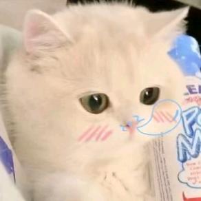 数据加载中……