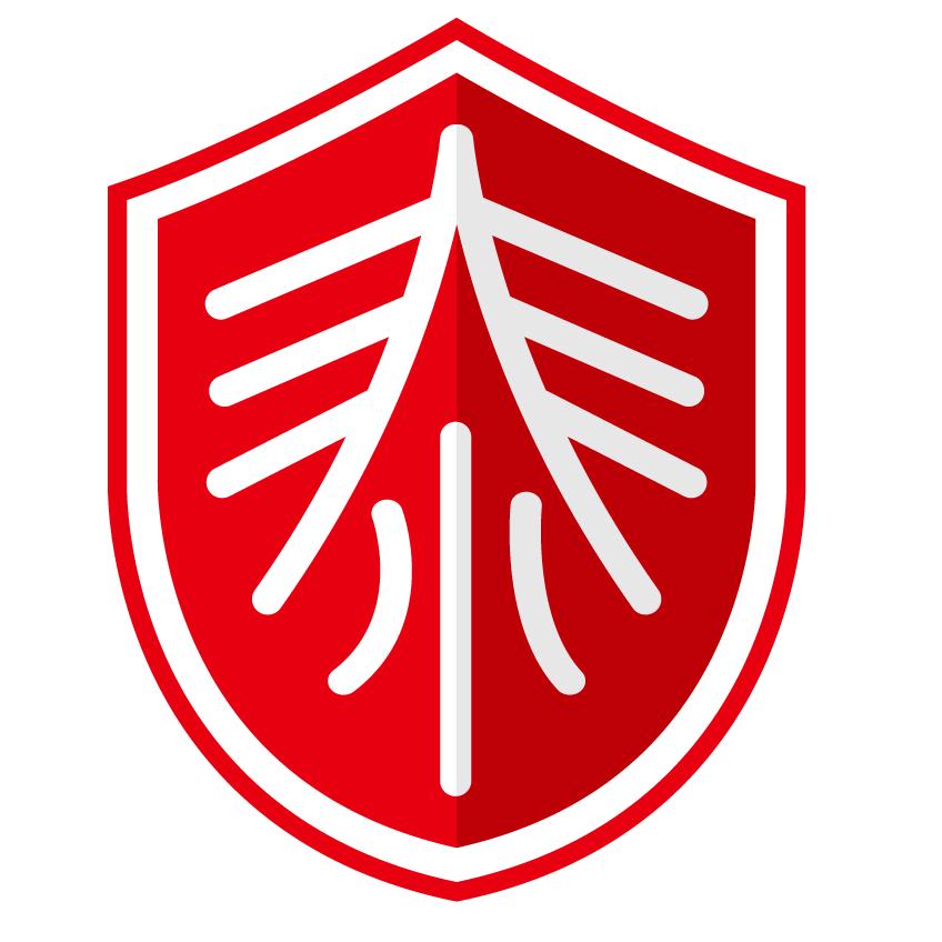 杨老师