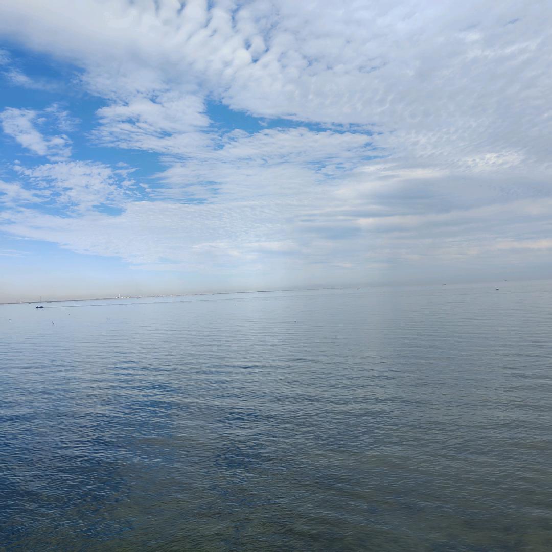 ✧٩ˊ 🫧🐉℘࿐