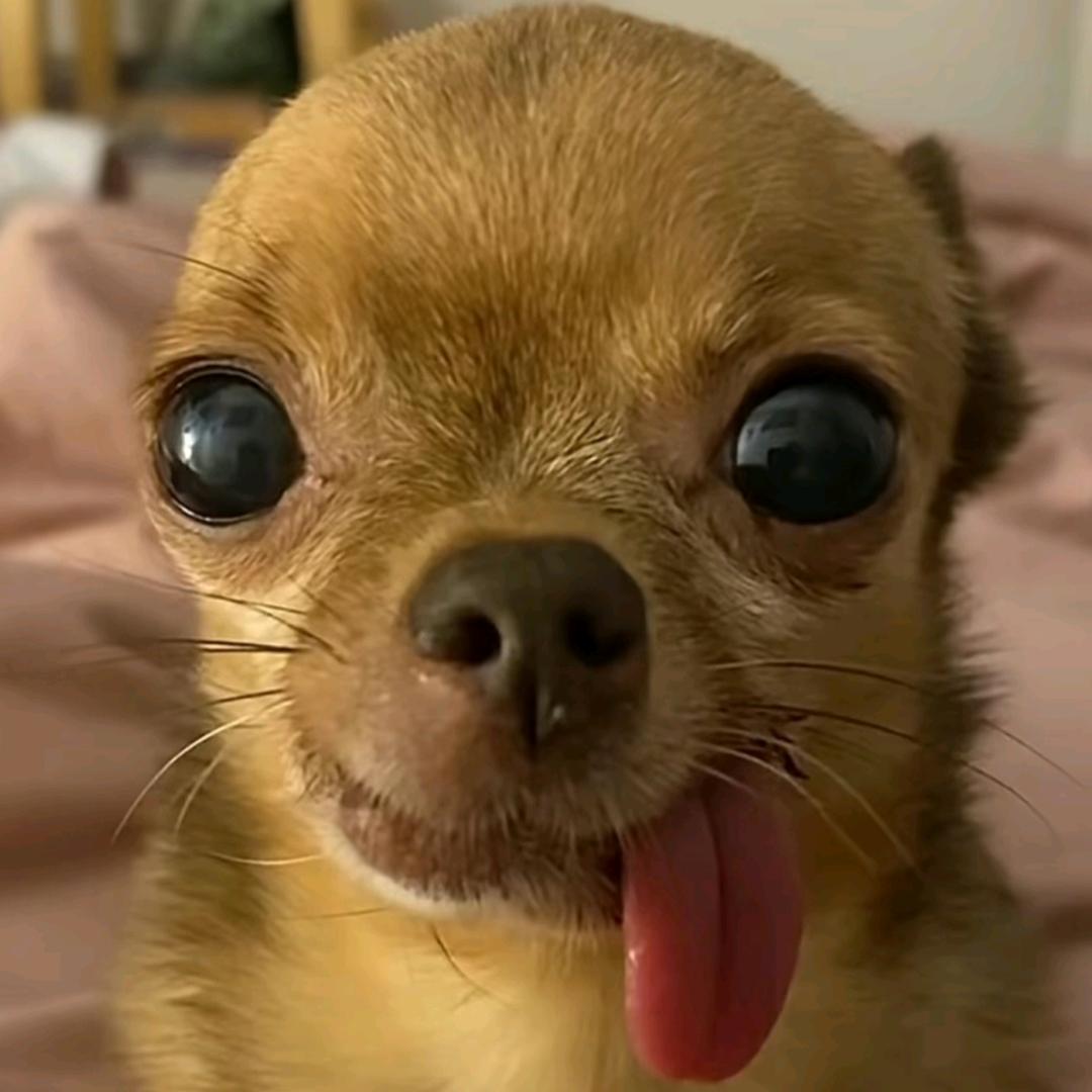 不是电瓶