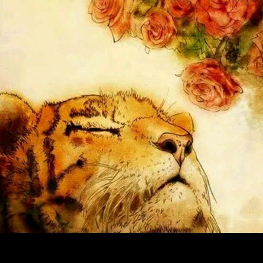 河南专升本英语~猫猫不吃菜