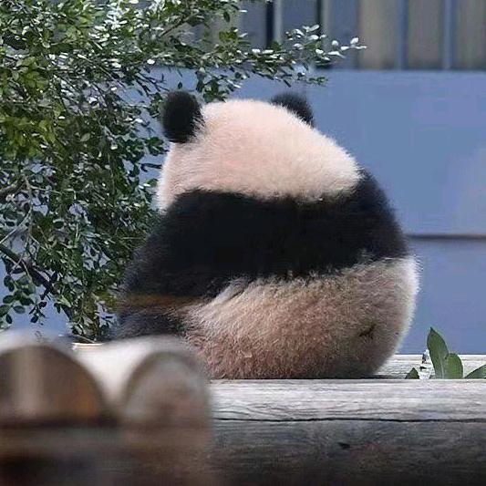 白 正 安