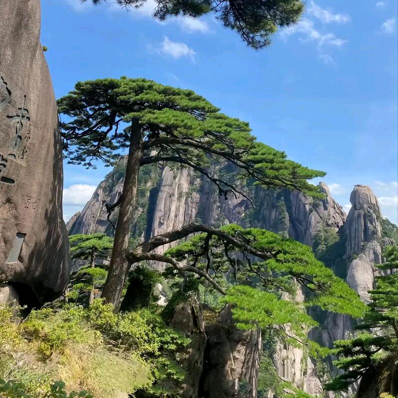 新账号