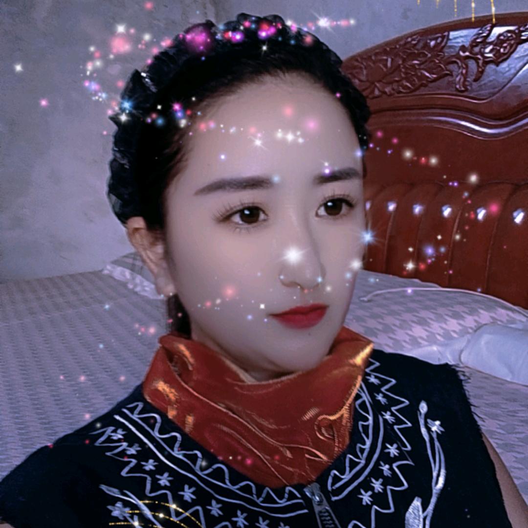 翱翔的翅膀W