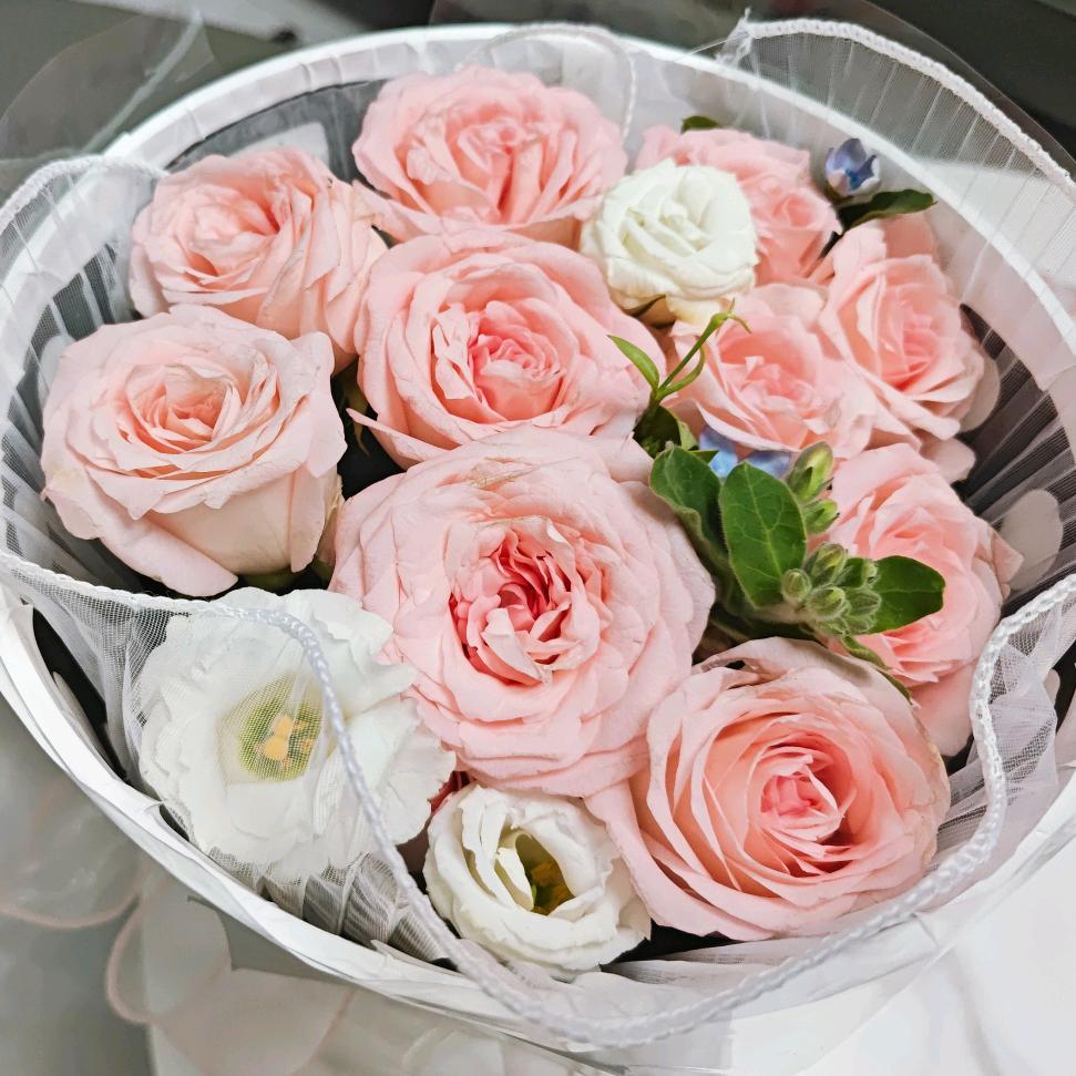 @是林姐姐呀🌺