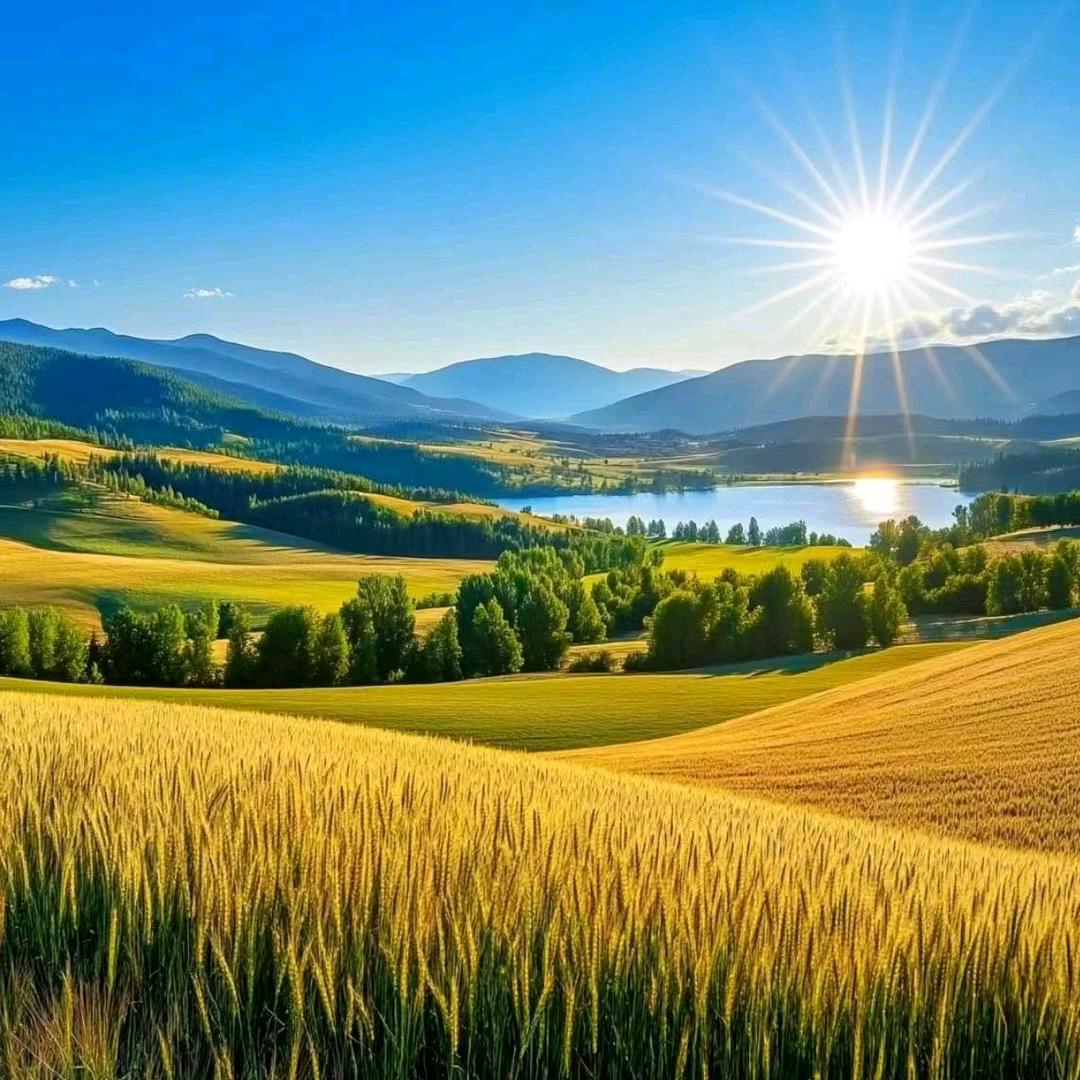 东姐🌾🌲🌲