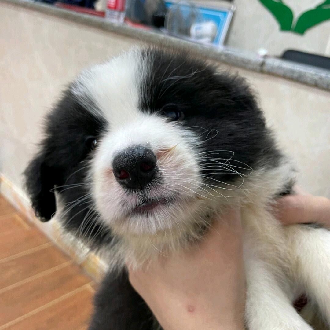 幸福的士兵