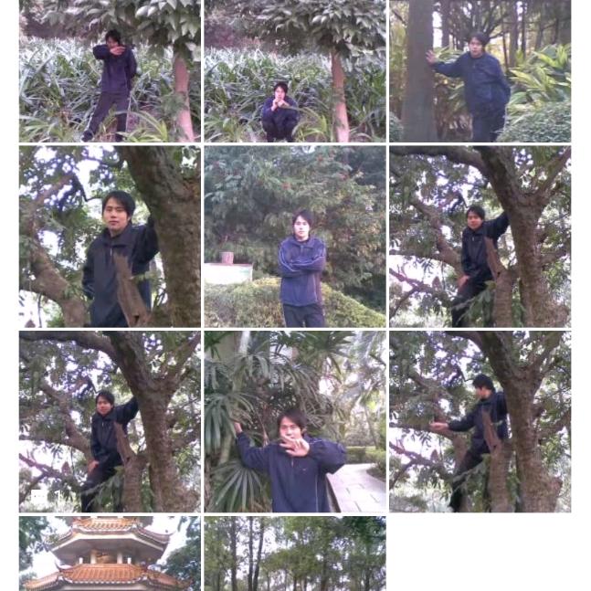 何为情？何为水？方舞尖