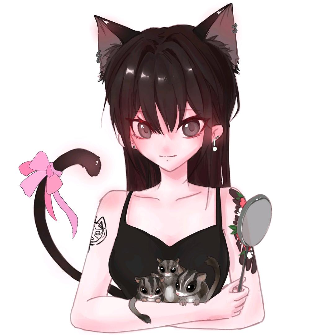 倒立的猫猫